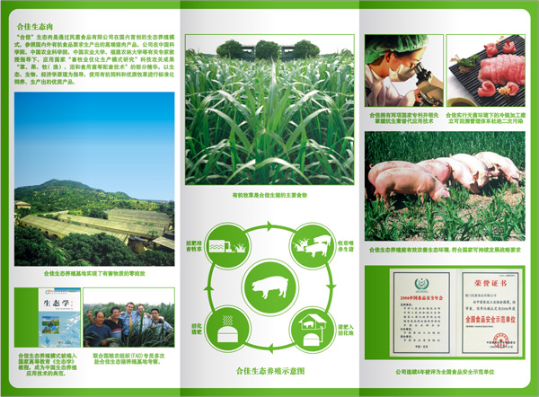 农产品折页设计，农产品画册设计